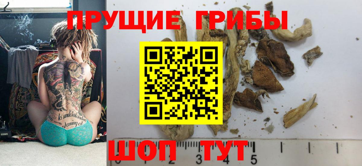Нижний Новгород  Галлюциногенные грибы Psilocybe  Псилоцибиновые грибы Magic Shrooms  цена   Вход с VPN 