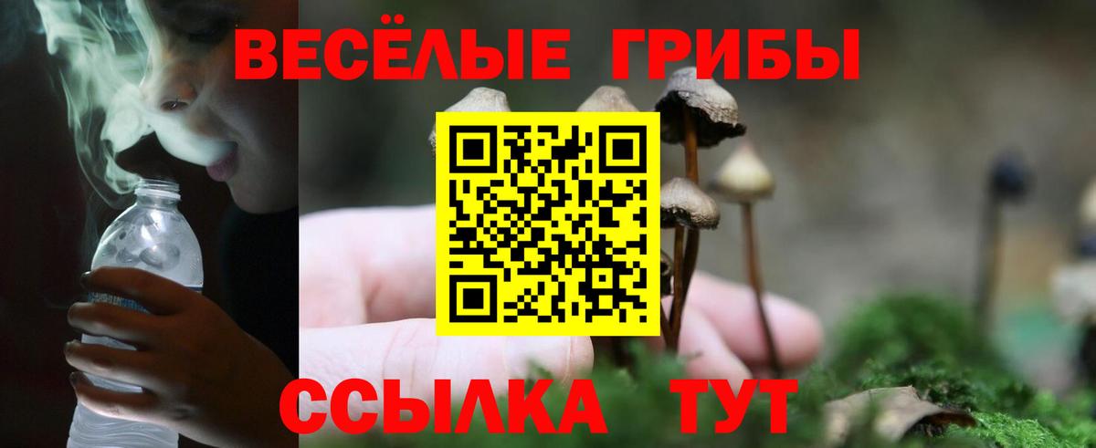 Псилоцибиновые грибы прущие грибы Нижний Новгород